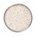 Translucent Setting Powder Light-Reflecting Finish Kryolan 60g