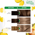 Garnier Hair Dye 7.1 Ash Blonde, Gray Coverage, 112ml