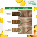 Garnier Hair Color Light Ash Blonde 8.1 for Gray Coverage, 112ml