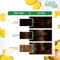 Garnier Hair Color Brown 4, Warm Deep Brown Permanent Hair Dye, 112ml