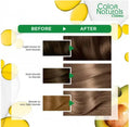 Garnier Hair Color Deep Ash Blonde 7.11 112ml with Olive and Avocado Oil