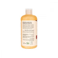 AB Naturals Argan Oil Smoothing Shampoo, 479 ml