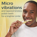 Philips Electric Toothbrush Sonicare Stain Removal Mango 1 Piece