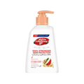 Lifebuoy Hand Wash Apple & Ginger Antibacterial 200ml
