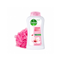 Dettol Body Wash Skin Care Moisturizing Formula with Loofah 250ml