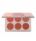 Make Over 22 Nude Chic Blush Set M3202 6 Shades Matte and Shimmer