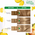 Garnier Hair Color Very Light Ash Blonde 9.1, Olive & Avocado Oil, 112ml