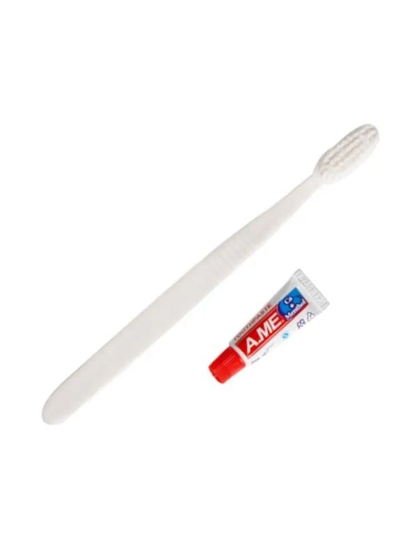 AME Dental Care Kit with Toothbrush and 6g Pomegranate Toothpaste