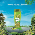 Shampoo for Damaged Dry Hair Nourishing Olive and Henna Vatika 200ml