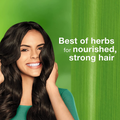 Himalaya Anti-Dandruff Shampoo with Tea Tree and Rosemary, 400ml
