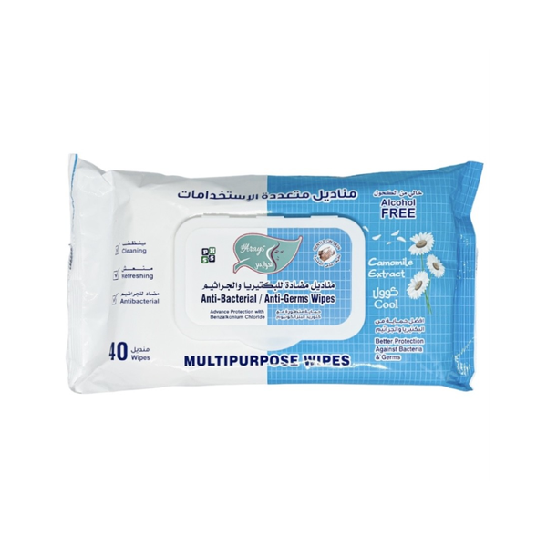 Al Arayes Antibacterial Multi-Purpose Wet Wipes, 40 Count