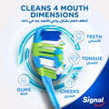 Medium Bristle Toothbrush 4D Stain Reduction Pack of 2 Signal