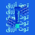 Blueberry Lip Balm Hydrating Nourishing Hismile 10g