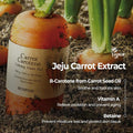 Skin Food Carrot & Carotene Soothing Toner Pads, Beta-Carotene, 60 Pads