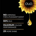 Brown Hair Dye Golden Brown 5.3 Ammonia Free Garnier Olia 1 Pack