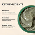 Mugwort Pore Clarifying Wash Off Pack Deep Cleansing Mask AXIS-Y 100ml