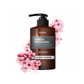 Shampoo for Dry Damaged Hair Honey and Macadamia Kundal 500ml
