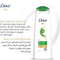 Dove Strengthening Shampoo Keratin Repair for Damaged Hair 590ml
