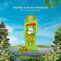 Best Shampoo for Oily Hair Nourish & Protect Olive & Henna Vatika 700ml