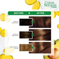 Light Brown Hair Dye 5.3 Golden Nourishing Garnier Color Naturals