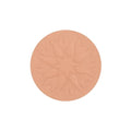Pressed Powder for Oily Skin Natural Finish Show By Pastel 102 Natural 10g