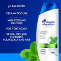 Head & Shoulders Anti-Dandruff Shampoo Mint Extract 350ml