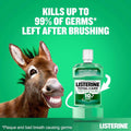 Best Listerine Mouthwash Total Care Gum Care Fresh Mint 500ml