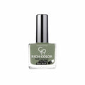 Golden Rose Rich Nail Polish 112 Light Green Quick-Drying