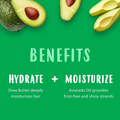 Cantu Avocado Moisturizing Conditioner, Sulfate-Free, 400ml