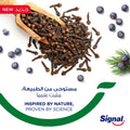 Best Toothpaste for Sensitive Teeth 2022 Clove Flavour 75ml Signal