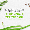 Himalaya Anti-Dandruff Shampoo with Tea Tree & Aloe Vera - 400ml