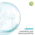 Micellar Cleansing Water with Salicylic Acid Garnier SkinActive 400ml