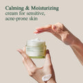 Pyunkang Yul Soothing Moisturizing Barrier Cream, Ceramides, 50ml