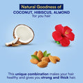 Parachute Gold Coconut Hair Oil for Root Nourishing, 150 ml