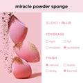 Miracle Powder Makeup Sponge Set 2 Pieces Real Techniques