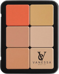 Blush Bronzer Contour Palette Versatile Creamy Shades Vanessa Makeup