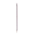 Blackhead Remover Tool Manual Extraction Stainless Steel UYB 1902