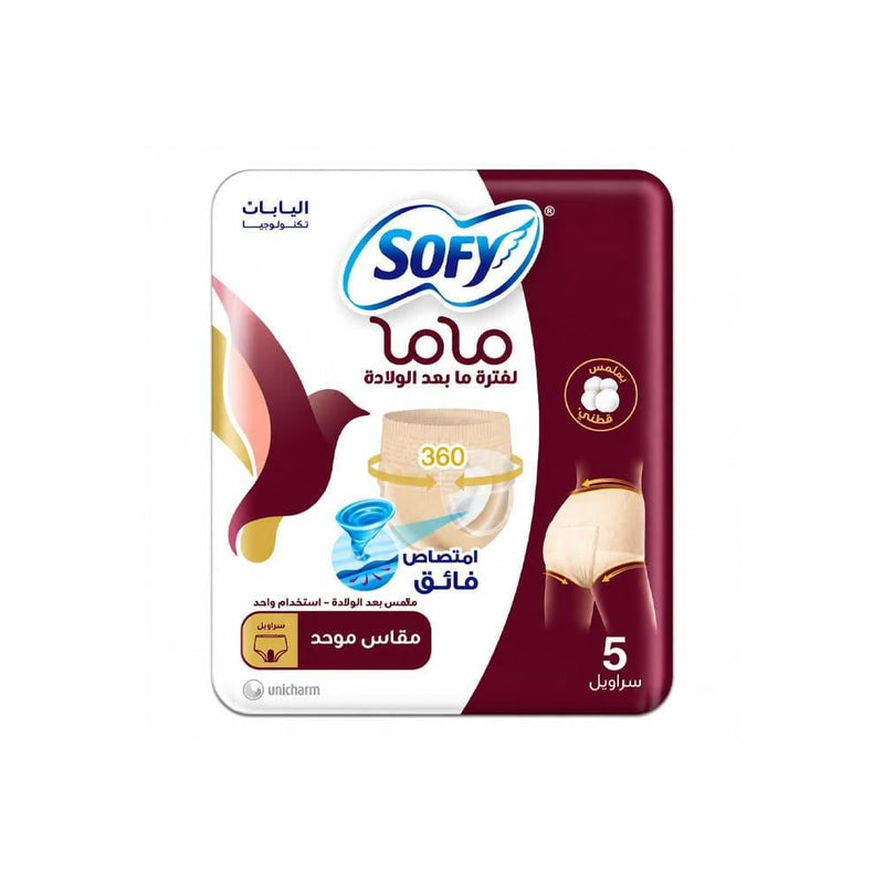 Postpartum Disposable Underwear Cottony Soft 360 Absorbency Sofy 5 Pack