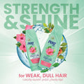 Best Shampoo for Hard Water Strength & Shine Henna & Hibiscus Pert Plus 400ml