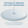 Buy Face Serum Hydrating Hyaluronic Acid Centella First Ampoule Skin1004 50ml