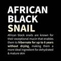 Face Serum Black Snail Restore Snail Secretion iUNIK 50ml