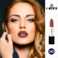 Castal Matte Creamy Lipstick, Shade 342, Long-Lasting Pigmented Formula