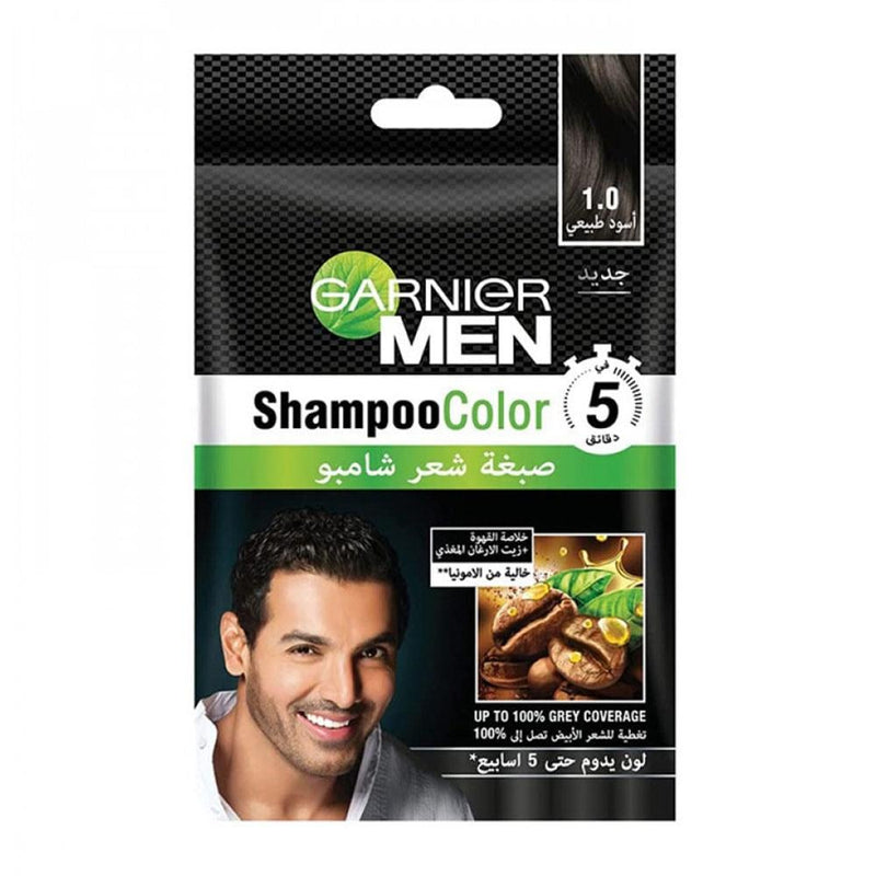 Black Hair Dye Shampoo 3 in 1 Natural Gray Coverage Garnier Men 1.0 200ml