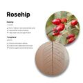 B-Lab Rosehip Serum, Anti-Aging, Firming, Elasticity, 30ml