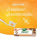 Dabur Herbal Clove Toothpaste 150g with Dental Wipes 12-Pack