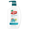 Lifebuoy Sea Minerals & Salt Body Wash