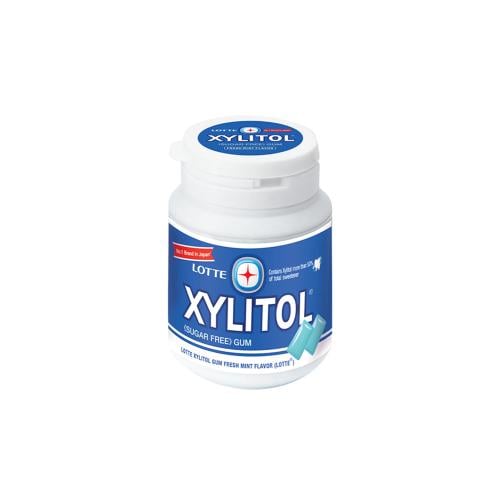 Xylitol Sugar-Free Chewing Gum, Refreshing Mint Flavour, 58 g Pack