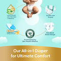 Pampers Premium Care Taped Diapers Size 4 Aloe Vera Vitamin E 9-14 kg 222 Count