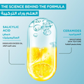 Garnier Fast Clear Gentle Hydrating Cleanser Salicylic Acid Ceramides 250ml