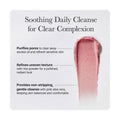 Arencia Rosehip Cleanser